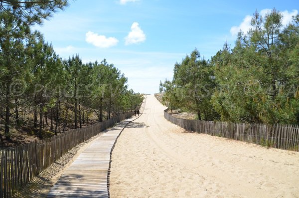 sentiero della spiaggia Grand Crohot - Cap Ferret