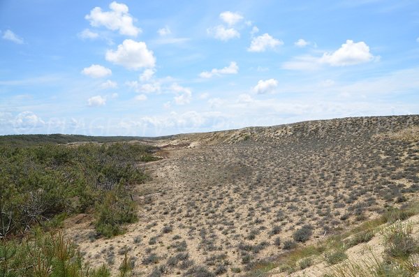 Vue sur les dunes de la plage du Grand Crohot au Cap Ferret