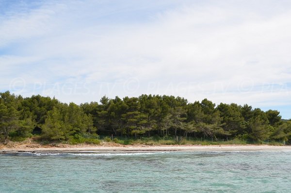 Plage sauvage du Grand Jardin à Bormes les Mimosas dans le Var