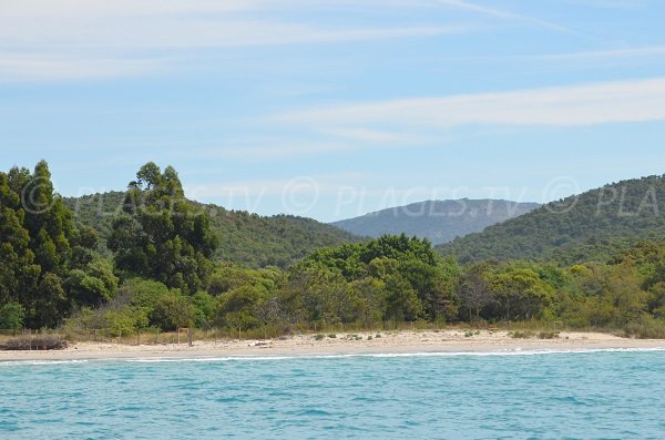 Extrémité de la plage du Grand Jardin à Bormes dans le Var