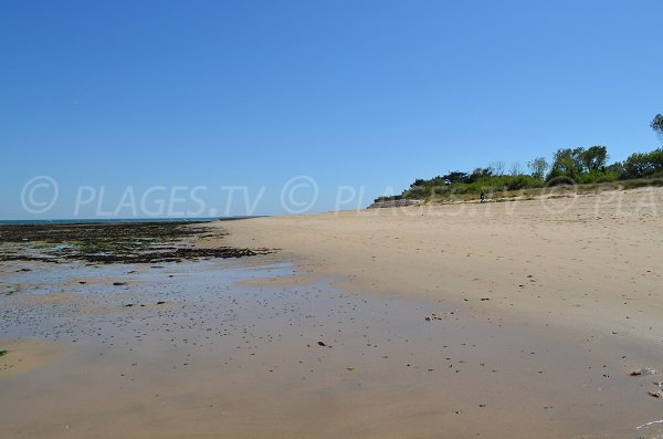 Plage du Marchais - Les Portes en Ré