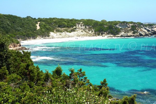 Photo of Grand Sperone beach in Bonifacio in Corsica