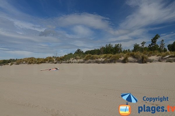 Plage sauvage à La Grande Motte - Grand Travers