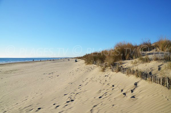 Dune on the Grand Travers beach - Grande Motte