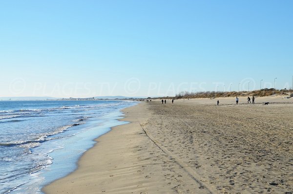 Strand in La Grande Motte, wo Hunde erlaubt sind