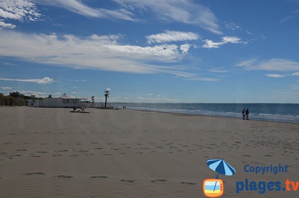 Plage autorisée aux chiens à La Grande Motte