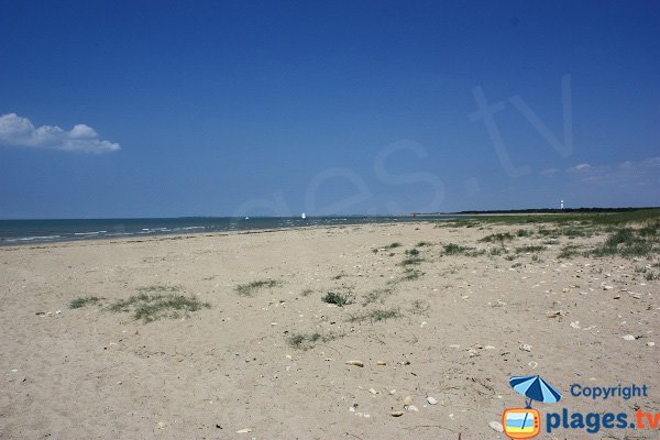 Vue sur Noirmoutier depuis la plage de la Grande Côte - Barre de Monts