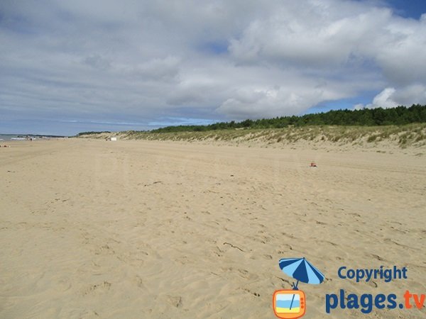 Dunes in Saint Palais sur Mer