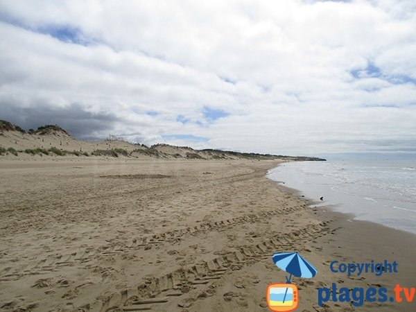 Dunes of Grande Cote beach in Saint Palais sur Mer