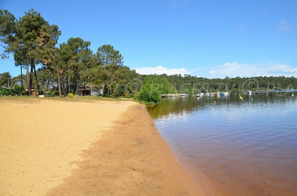  Spiaggia sorvegliata sul Lago di Lacanau