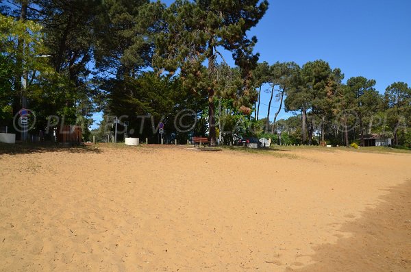 Environment of the beach of Lacanau Lake - La Grande Escoure