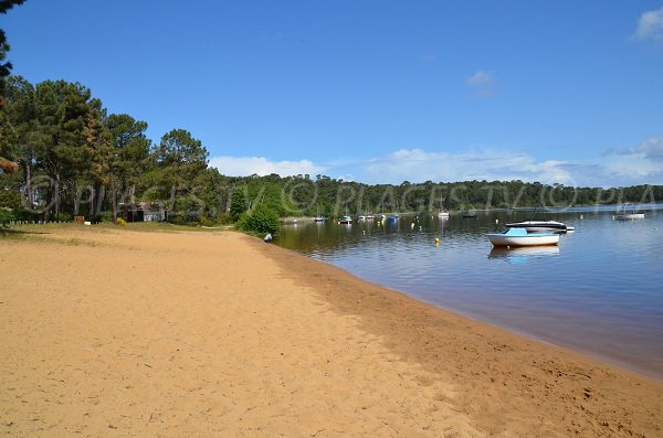 Plage de la Grande Escoure au lac de Lacanau