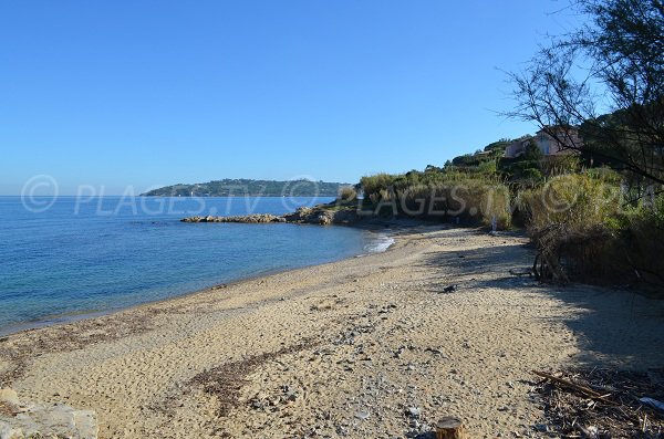 Wilderness for the Graniers beach in Saint Tropez