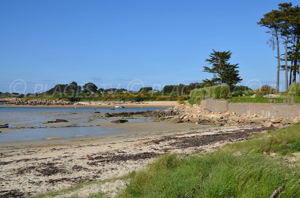 Photo of Grannec beach faces Kervalos beach - Trégastel