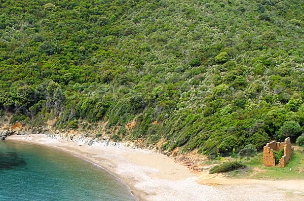 Gratelle beach in the gulf of Porto - Corsica