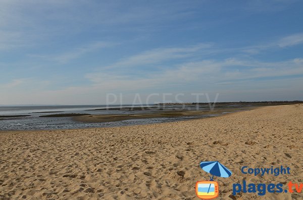 Plage de Graveyron à Audenge - 33