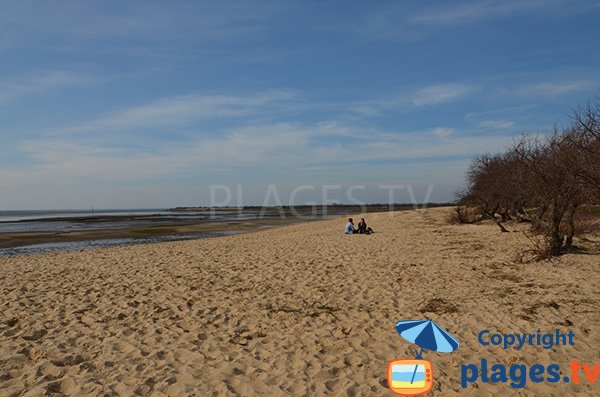 Photo de la plage de Graveyron à Audenge