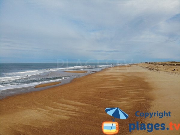 Grande plage sauvage à Hossegor