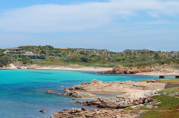 Cala di u Grecu Ile de Cavallo - Corse