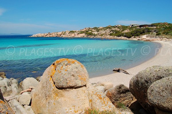 Plage de sable au nord de l'ile de Cavallo