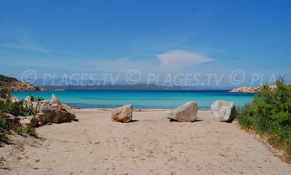 Cavallo Island beach with Bonifacio view