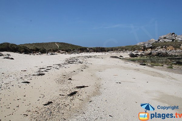 Environnement de la plage de Cléder - grenouillère