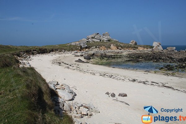 Photo de la plage de la Grenouillière à marée basse - Cléder