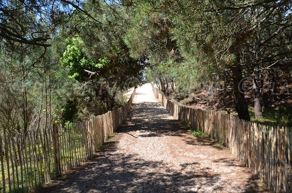 Landscaped paths to the beach of Le Porge Océan