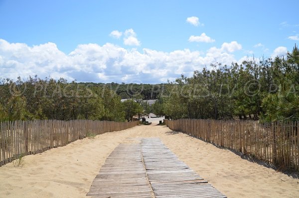 duckboards on the dune of Le Porge in France