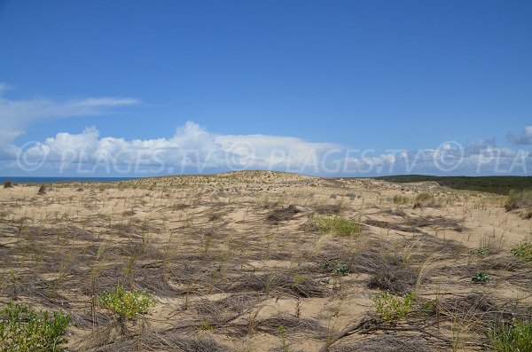 Vue sur les dunes depuis Le Porge