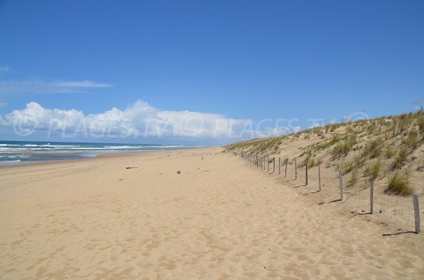 Spiaggia del Gressier di Le Porge in Francia