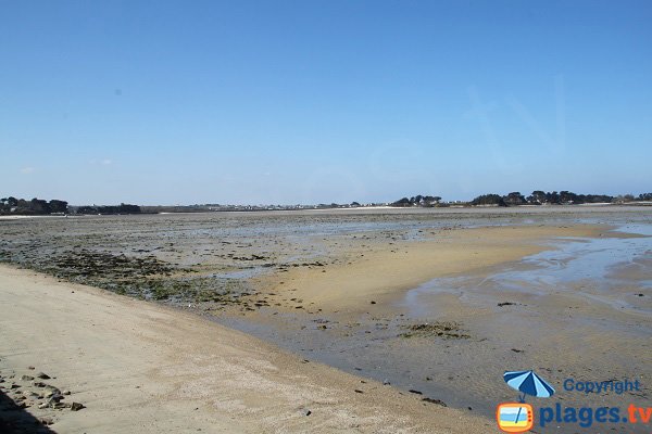 Beach of Groa Rouz at low tide in Roscoff