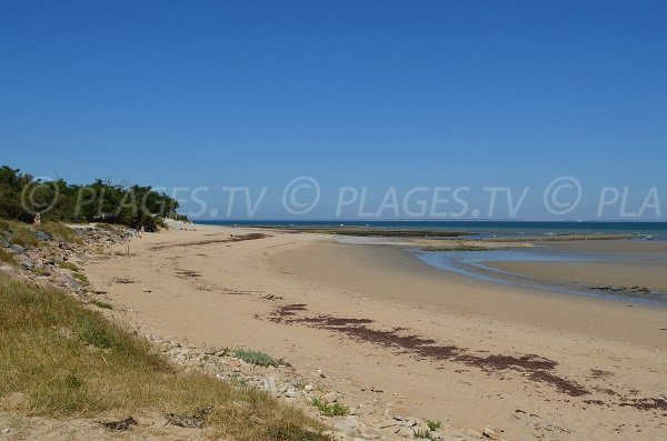 Gros Jonc beach - Island of Ré in France