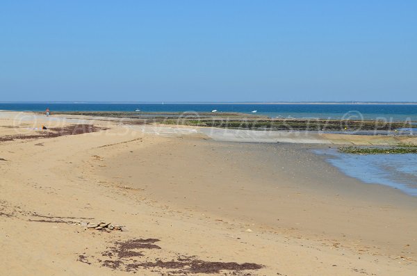 Beach in Les Portes en Ré