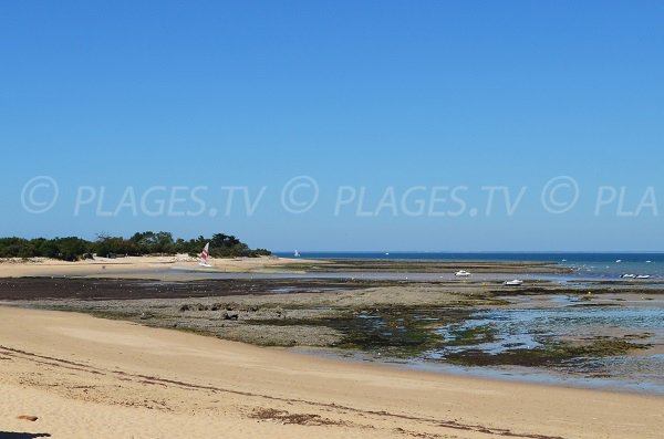 Photo de la plage du Gros Jonc aux Portes en Ré