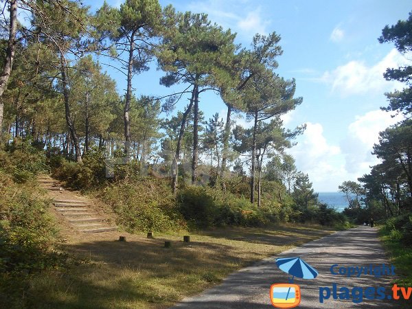 Access to the Guen beach - Erquy