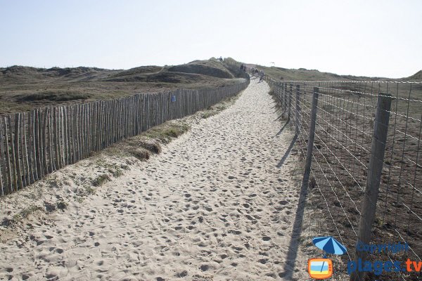 Trail access to the Guerite beach through the dunes - Plouharnel