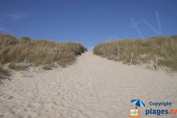 Dunes de la plage de la Guérite - Plouharnel