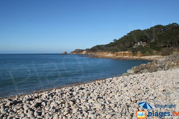 Photo de la plage de Guerzit à Plougasnou