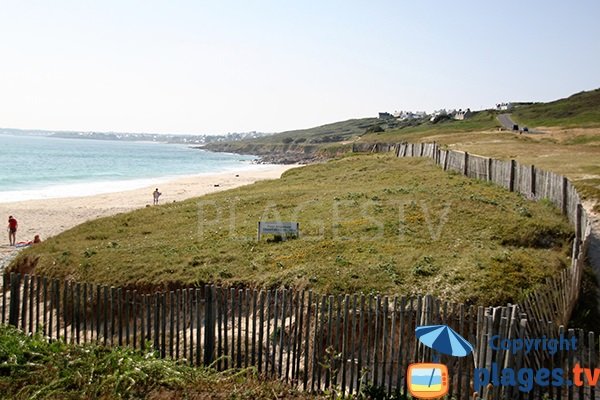 Dunes autour de la plage de Gwendrez - Plouhinec - Finistère