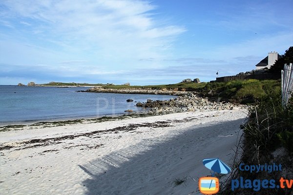 Plage ombragée à Landunvez