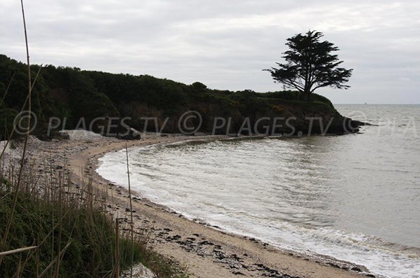 Photo of Halguen cove in Pénestin - France