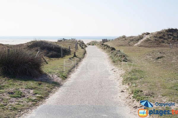 Access track of Hattainville beach - France