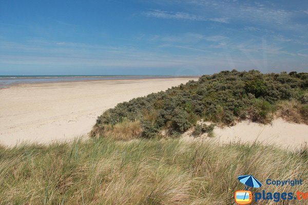 Plage des Hemmes à Oye-Plage