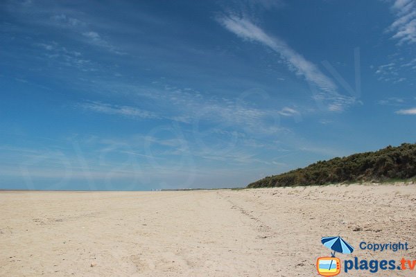 Grande plage sauvage proche de Calais - Les Hemmes