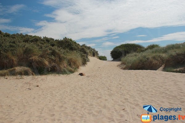 Accès à la plage des hemmes - Oye-Plage