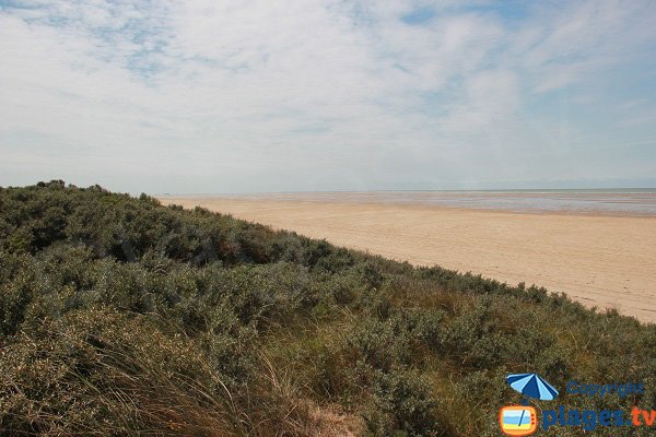 Photo de la plage des Hemmes à Oye-Plage