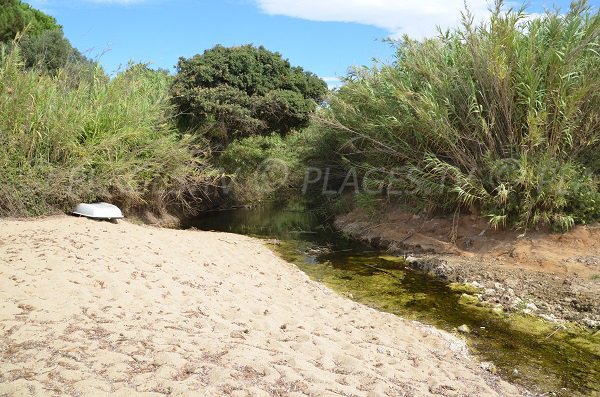 Stream of the Héraclée beach