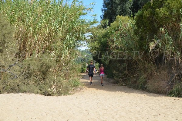 Access to the Heraclee beach in La Croix Valmer from vineyards