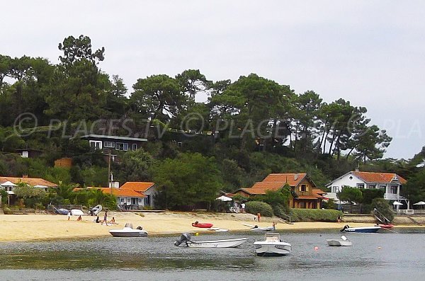 Herbe au Cap Ferret avec sa plage